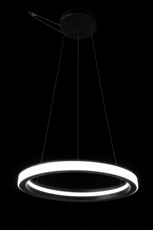 Black Metal Circular Ring LED Pendant | Modern Light