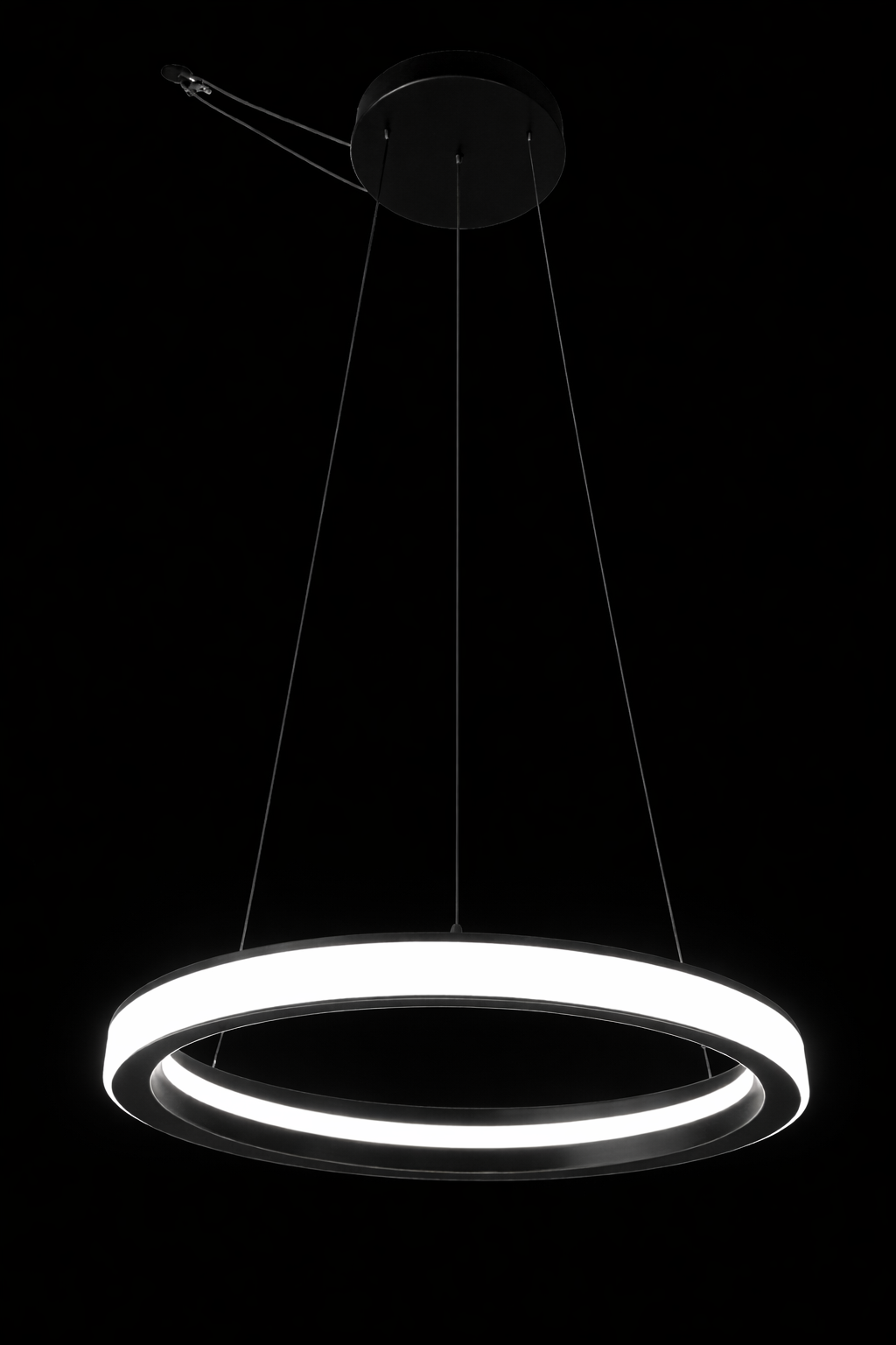 Black Metal Circular Ring LED Pendant | Modern Light
