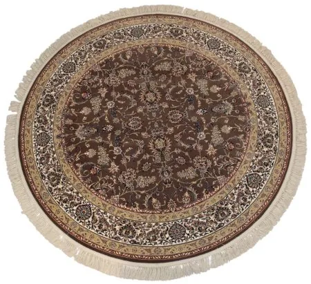 Carpet 81